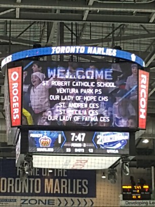 Marlies Scoreboard